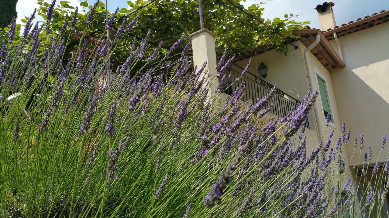 Chambre D'Hotes La Bigarade Golfe-Juan Exterior photo